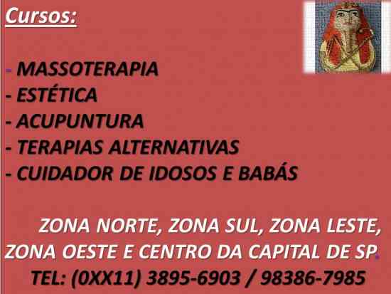 curso de auriculoterapia acupuntura auricular auriculo sp